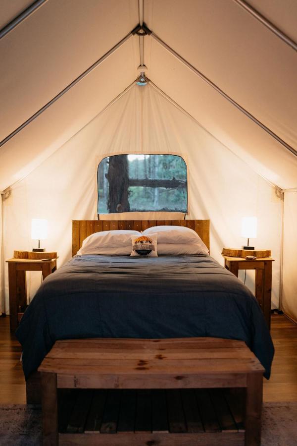 Treehouse Cozy Glamping Site Hotel Branson Exterior photo